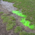 Septic Tank Dye Test: Everything You Need To Know