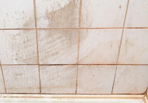 Using Chemicals to Break Down Solids and Prevent Scum Buildup in the Tank